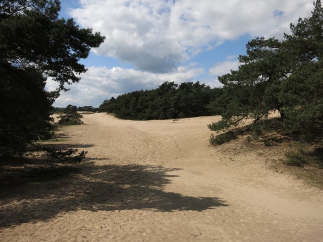 HWK Wekerom093.jpg